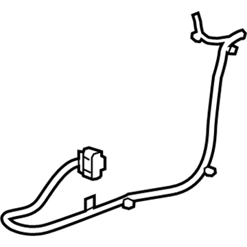 GM 13253619 Harness