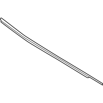 Ford AB3Z-2625555-E Belt Molding