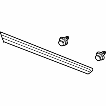 GM 84267963 Body Side Molding