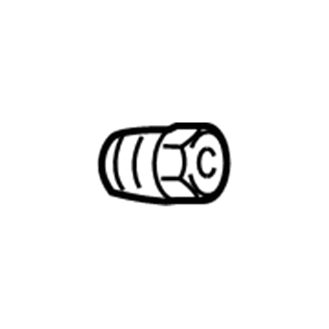 GM 9596069 Wheel Nut