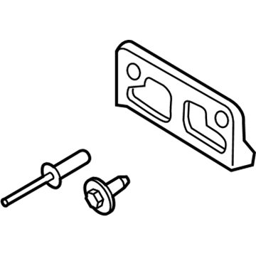 Ford DG1Z-17A385-AA License Bracket