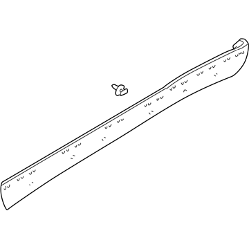 Ford 3L8Z-78101A05-BAPTM Rocker Molding