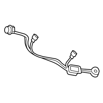 GM 25842432 Socket & Wire