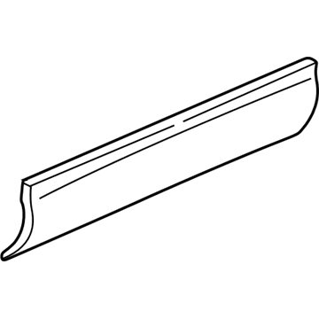 GM 12374518 Body Side Molding