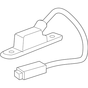 GM 20807069 License Lamp