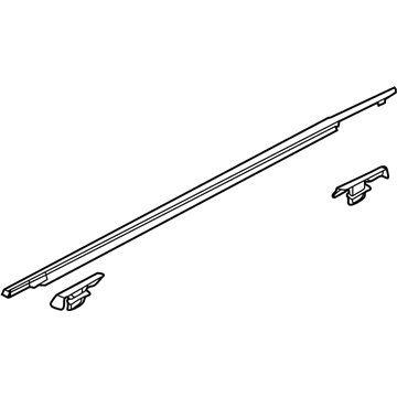 Ford AE9Z-7421452-B Belt Molding