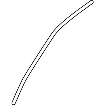 Ford AE9Z-7420550-A Window Molding