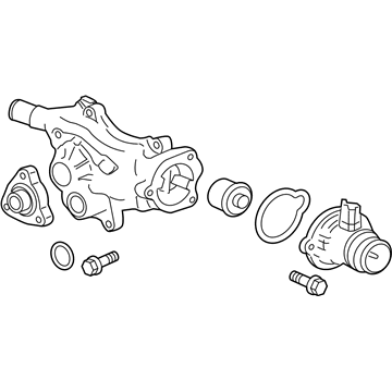 GM 55580028 Water Pump Assembly
