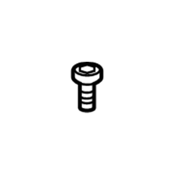 GM 11611291 Control Module Screw