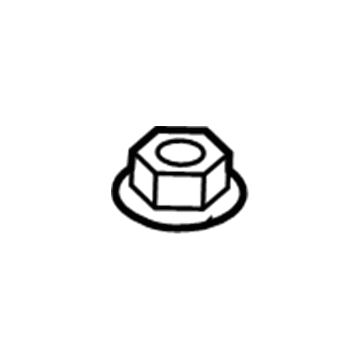 GM 11611898 Hold Down Nut