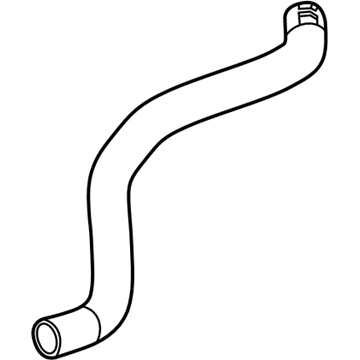 GM 84463184 Lower Hose