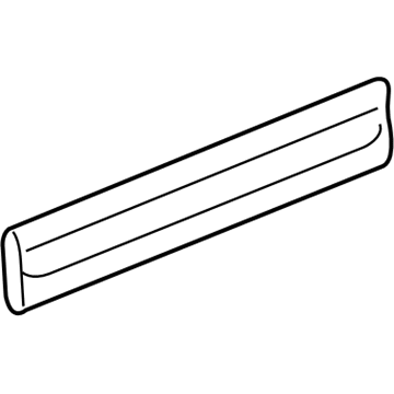 GM 25782610 Body Side Molding