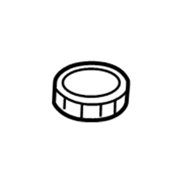 GM 10244485 Reservoir Cap