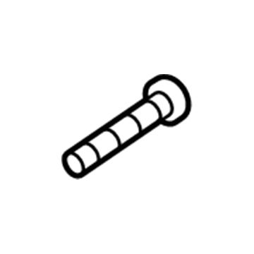 Ford -W703225-S309M Door Check Bolt