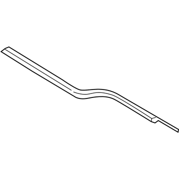 Ford FL3Z-1521452-D Belt Molding