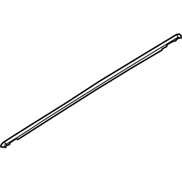 Ford AE8Z-5425596-A Belt Molding