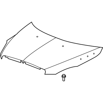 GM 19354884 Hood