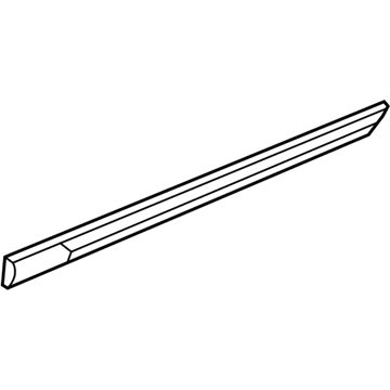 GM 22997637 Body Side Molding