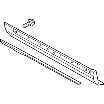 Ford FA1Z-5820879-CA Lower Molding