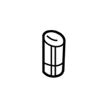 GM 9065156 Lock Knob Bezel