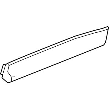 GM 22985714 Lower Molding