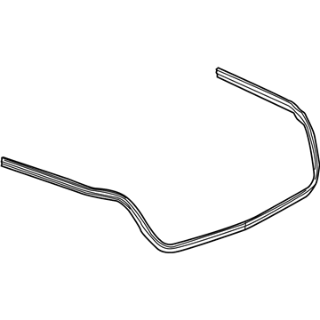 GM 15779663 Weatherstrip