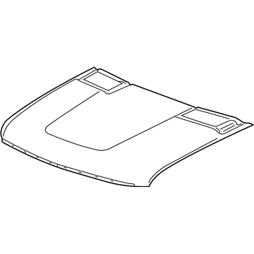 GM 20952912 Hood