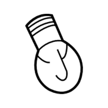 GM 13503401 Run Lamp Bulb