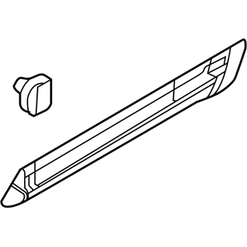 Ford AE9Z-7425556-A Side Molding