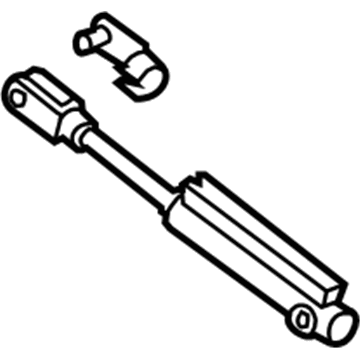 GM 89023775 Hydraulic Lifters