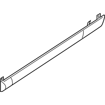 GM 24461100 Molding, Rear Side Door Center