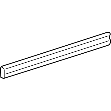 GM 19120552 Lower Molding