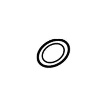 Hyundai 22432-3C401 O-Ring