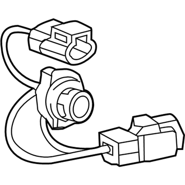 GM 22864095 Socket & Wire