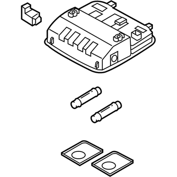 Hyundai 92810-F2000-TRY Overhead Console Lamp Assembly