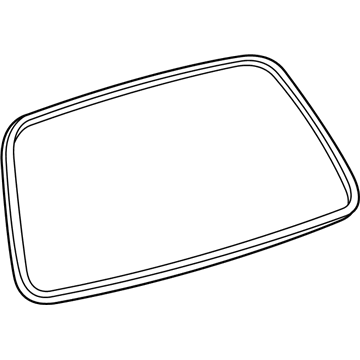 GM 88970949 Weatherstrip, Lift Gate Window