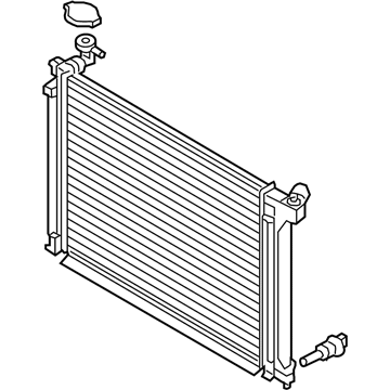 Hyundai 25310-C2000 Radiator Assembly