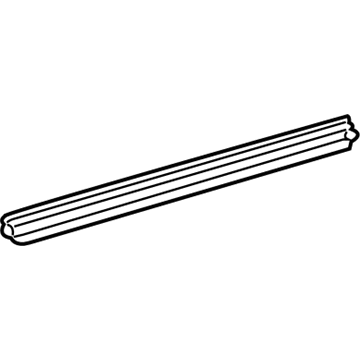 GM 10372820 Seal Strip