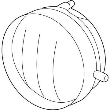 GM 88975670 Fog Lamp