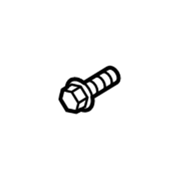 GM 55575099 Oil Inlet Tube Bolt