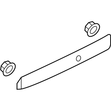 GM 19317798 Finish Molding