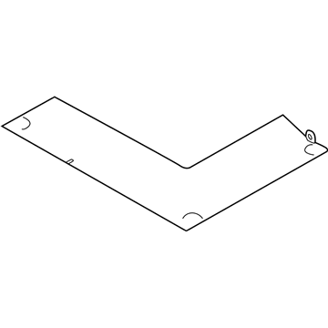 Ford CV6Z-5813046-BB Floor Cover