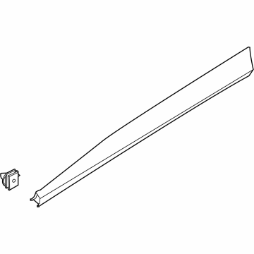 Ford LJ8Z-5820878-BA MOULDING - DOOR OUTSIDE