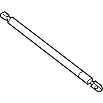 GM 39169063 Lift Cylinder