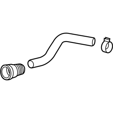 GM 23436394 Lower Hose