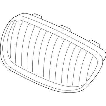 BMW 51-13-7-254-969 Grille, Chrome, Left