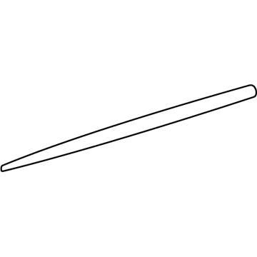 GM 88974150 Center Molding