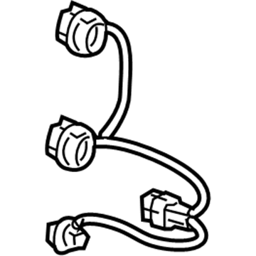 GM 15881512 Socket & Wire