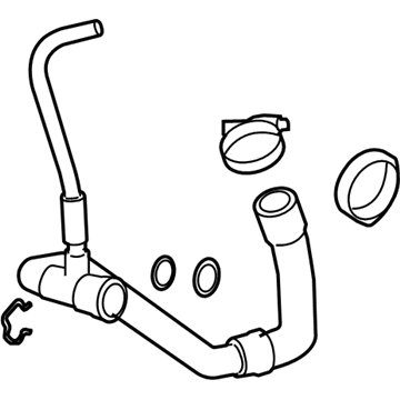 GM 19351811 Lower Hose