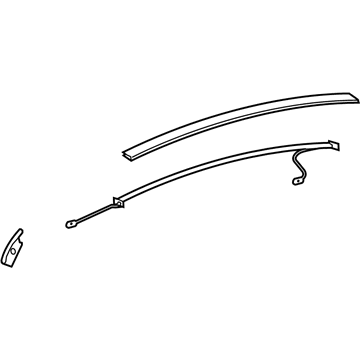 GM 9074272 Trim Molding